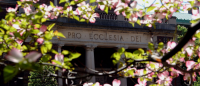 Columbia University in the Spring